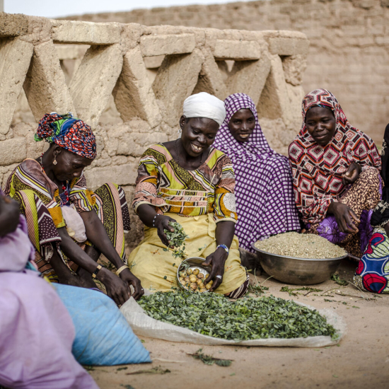 1 August 2019, Dan Bouda, Niger - Jamila Issoufou and other women prepare local leaves to be sold and consume in Dan Bouda village, Zinder Region, Niger on August 1, 2019